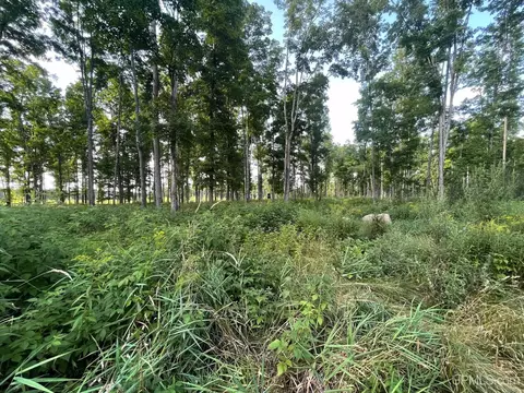 Co Rd 356, Stephenson, MI 49887 photo 23
