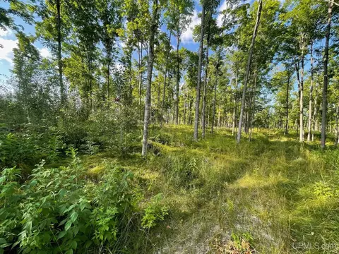 Co Rd 356, Stephenson, MI 49887 photo 31