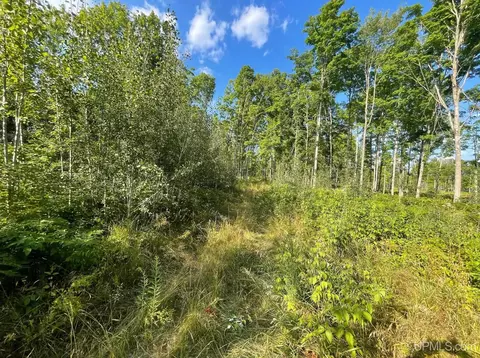 Co Rd 356, Stephenson, MI 49887 photo 35