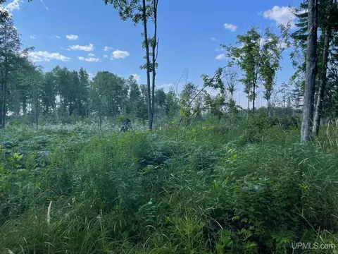 Co Rd 356, Stephenson, MI 49887 photo 38