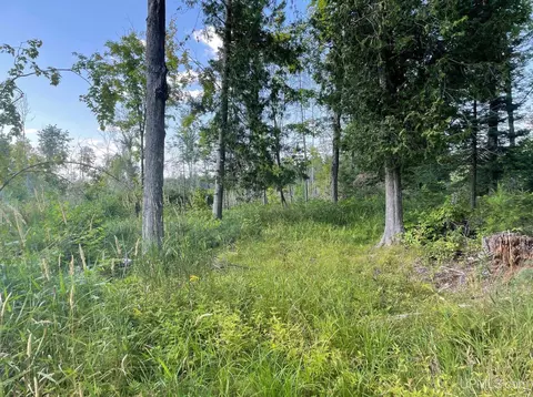 Co Rd 356, Stephenson, MI 49887 photo 24