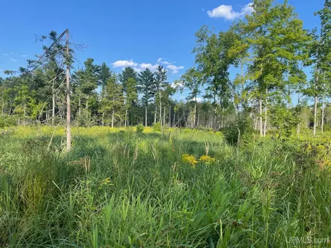 Co Rd 356, Stephenson, MI 49887 photo 28