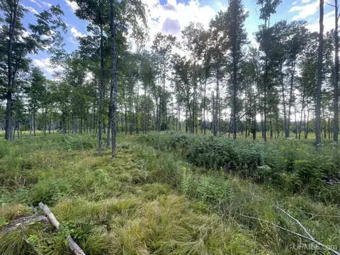 Co Rd 356, Stephenson, MI 49887 photo 30