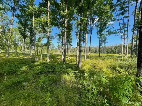 Co Rd 356, Stephenson, MI 49887 photo 3