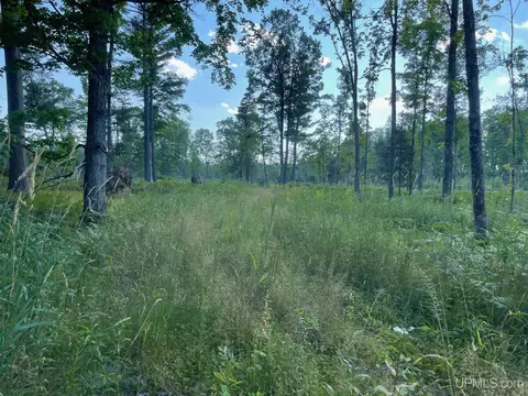 Co Rd 356, Stephenson, MI 49887 photo 26