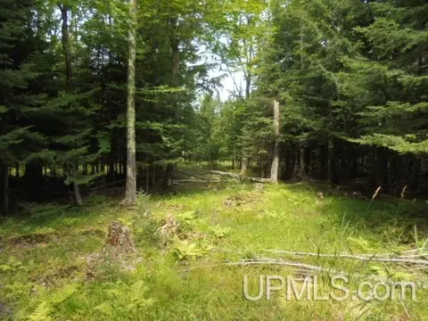 tbd M-107, White Pine, MI 49971