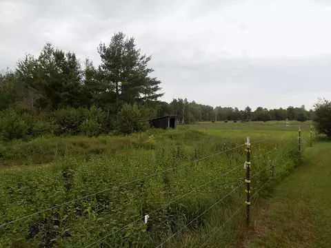 2472 N Three Rivers, Gladwin, MI 48624 photo 26