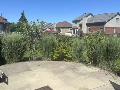 Exterior - 21385 Vesper, Macomb, MI 48044 photo 5 of 6