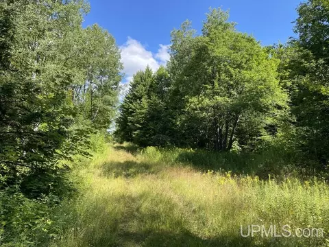 tbd Highway M38 #JUST AFTER 1501 HIGHWAY M38, Mass City, MI 49948