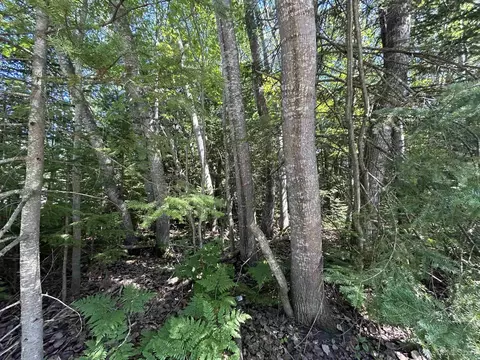 tbd Evergreen, Munising, MI 49862 photo 3