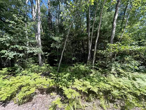 tbd Evergreen, Munising, MI 49862 photo 2