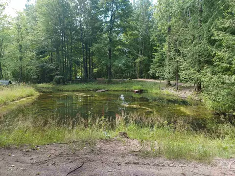 1320 N Walker, Twining, MI 48766 photo 3