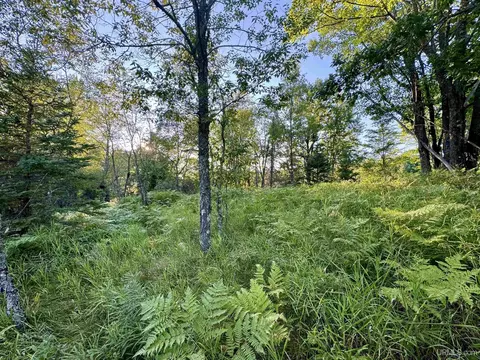 tbd Lake Dr Blom Rd Number 37, Vulcan, MI 49892