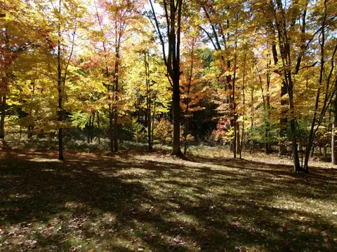 4588 Pine Run, Farwell, MI 48622 photo 59