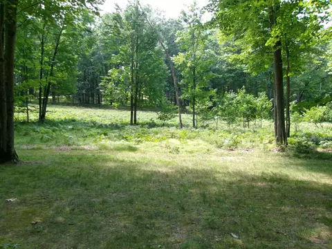 4588 Pine Run, Farwell, MI 48622 photo 27