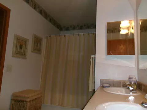 4588 Pine Run, Farwell, MI 48622 photo 14