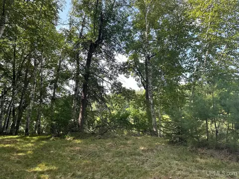 n2815 River Drive, Wallace, MI 49893 photo 11