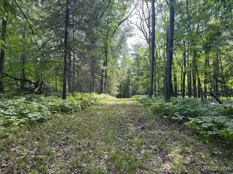 n2815 River Drive, Wallace, MI 49893 photo 5