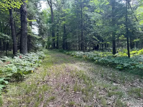 n2815 River Drive, Wallace, MI 49893 photo 6