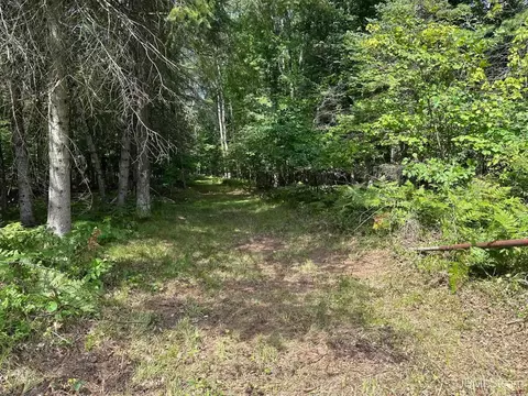 n2815 River Drive, Wallace, MI 49893 photo 26