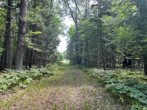 n2815 River Drive, Wallace, MI 49893 photo 27