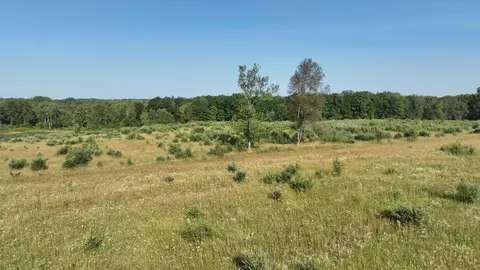 475 E Ashard, Harrison, MI 48625 photo 31