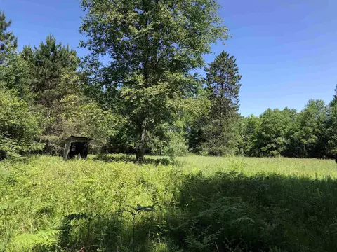 475 E Ashard, Harrison, MI 48625 photo 35
