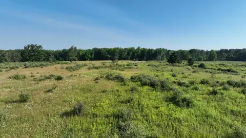 475 E Ashard, Harrison, MI 48625 photo 32