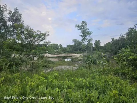 E Main, Greenbush, MI 48738