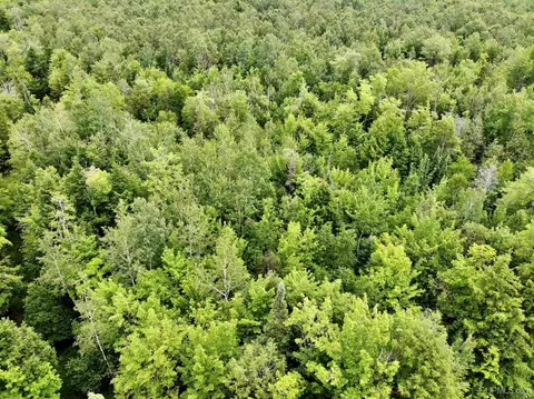 tbd 23 Kokko, Baraga, MI 49908