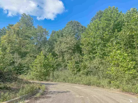 00 Douglas, Temperance, MI 48182 photo 4