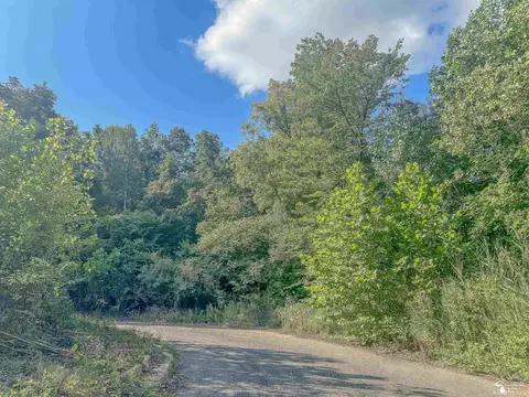 00 Douglas, Temperance, MI 48182 photo 2