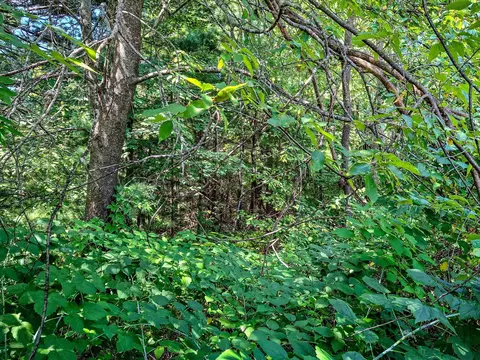 2068 2098 Timber, Harrison, MI 48625 photo 63