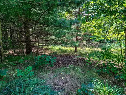 2068 2098 Timber, Harrison, MI 48625 photo 59