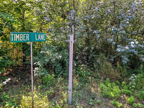2068 2098 Timber, Harrison, MI 48625 photo 56