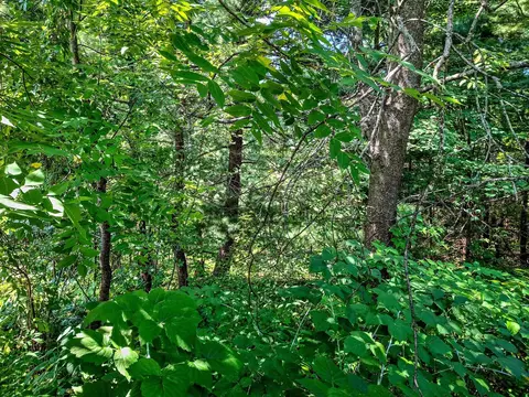 2068 2098 Timber, Harrison, MI 48625 photo 62