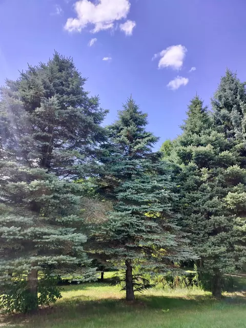 0000000000 Estates, Fort Gratiot, MI 48059