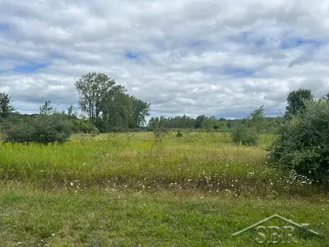 Dice, Freeland, MI 48623