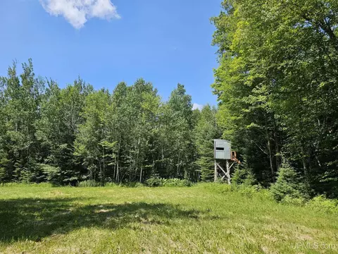 5368 N Camp 23, Germfask, MI 49836 photo 59