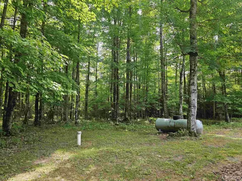 5368 N Camp 23, Germfask, MI 49836 photo 29