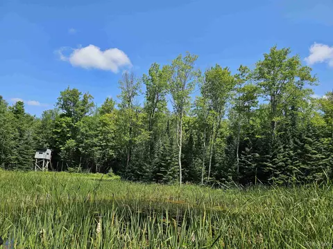 5368 N Camp 23, Germfask, MI 49836 photo 57