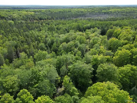 5368 N Camp 23, Germfask, MI 49836 photo 41