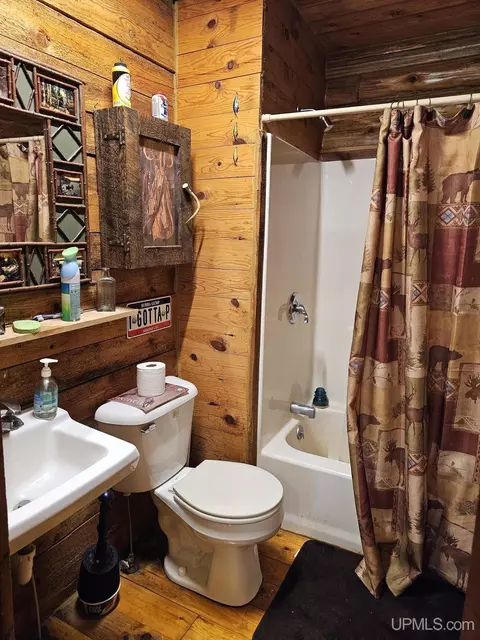 5368 N Camp 23, Germfask, MI 49836 photo 26