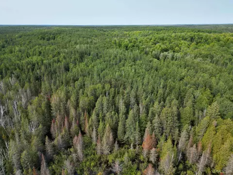 5368 N Camp 23, Germfask, MI 49836 photo 51
