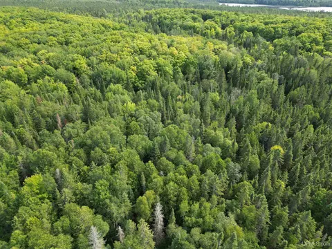 5368 N Camp 23, Germfask, MI 49836 photo 49