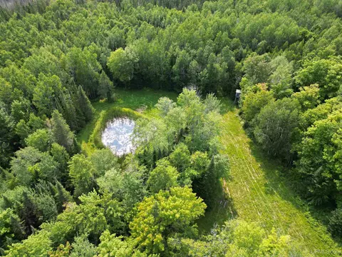 5368 N Camp 23, Germfask, MI 49836 photo 5