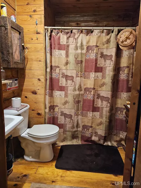 5368 N Camp 23, Germfask, MI 49836 photo 25