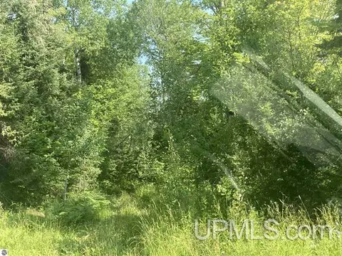 Tbd County Line, Nisula, MI 49952
