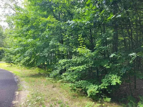 lot533 Winding, Houghton Lake, MI 48629