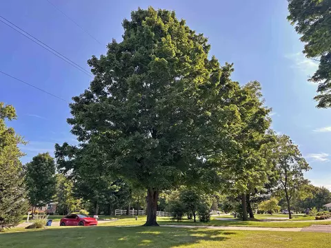 7335 Potter, Flushing, MI 48433 photo 12